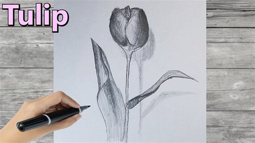 Easy Tulip Flower Drawing for Beginners Minecraft Blog