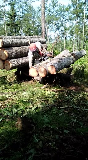 dianpermana on TikTok