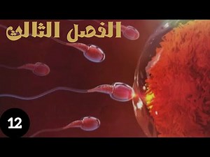 أحياء السادس العلمي – الفصل الثالث 🌸 التلقيح في النباتات