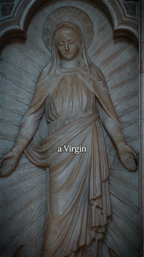 Immaculate Virgin, our merciful Mother, Mary, pray for us!