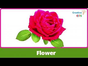 Nature's Wonders: Nature Flashcards for Kids | Creative Kids Outdoor Exploration-Creative kids