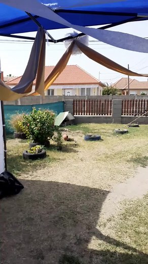 Charming Backyard Setup with Canopy and Pool