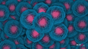 As the largest private funder of breast cancer research in the world, BCRF has one mission: to fund the brightest minds and the most promising science to improve outcomes and end breast cancer. Because we believe research will change how this generation and the next experiences breast cancer. Watch our new video to learn about BCRF's lifesaving work. | The Breast Cancer Research Foundation