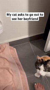 She fainted twice 🤣❤️ | eliethehallwaycat