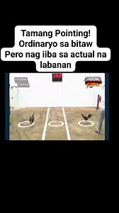 22K views · 659 reactions | Pointing Tutorial 8pm Bukas Sunday | Mauro Dal | Facebook