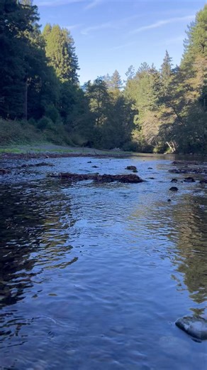 Austin Creek Cazadero | Russian River Living