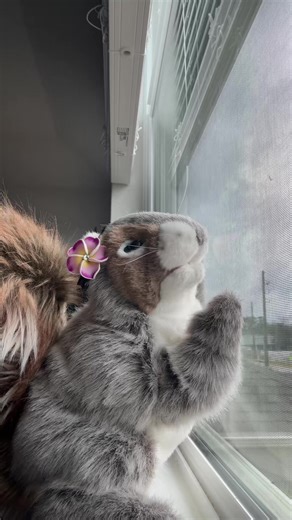 #fyp #squirrel #baddie #handpuppet #puppettok | puppet