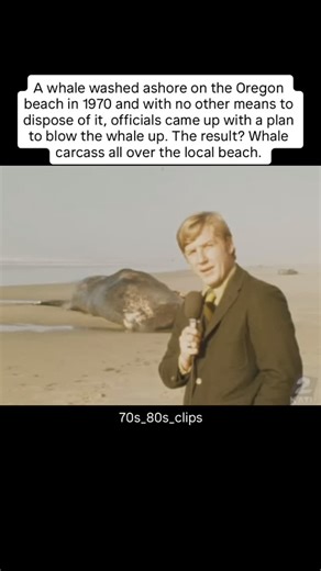 @70s_80s_clips on Instagram: "#70s #1970s #news #whale #dynamite #explosion"