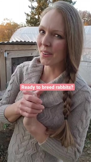 Rabbit Breeding Cycle Explained: Gestation, Kindling, and More!