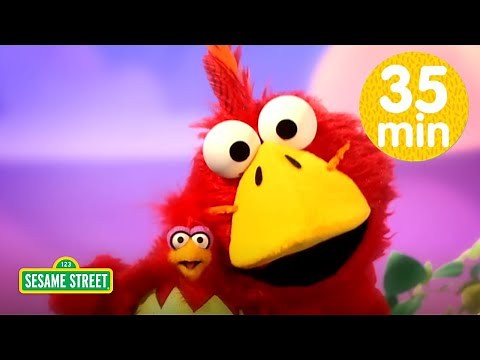 Animal Songs and Stories with Elmo!🐧😺🐣 | Elmo the Musical Compilation