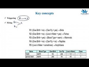 Rule Based Classifier || By Neeli's Galaxy