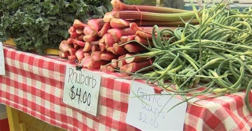 The Dane County Farmers' Market returns to the square April 11