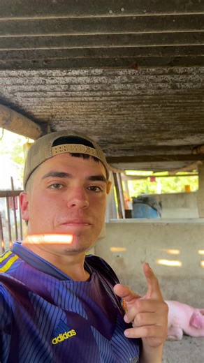 Videos de David parra (@david_parra07) con “sonido original - David parra”