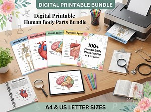 100  Human Body Parts Bundle | A4 Labeled Anatomy Components | Colored Body Illustrations | Printable Medical Study Sheets - Etsy Canada