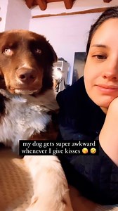 The Most Awkward Dog EVER 🤣 🎥 (Andrea Cevallos via ViralHog) #dogvideos #funnydogs #dogs #doglover #dog | Brennan Rogers