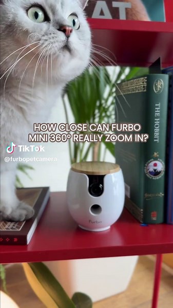 Spying on your pet just got an upgrade!! With Furbo Mini 360 you'll never Furbo Mini 360 brings 2K clarity, 8x zoom, and 360° views so you never miss a moment 🐾📸💛 Subscribe and save over 60% today! Now available on @furbopetcamera TikTok Shop. #petcamera #catsoftiktok #furbo #pets