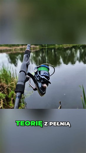 The Reality of Polish Public Fishing vs. A Wild Gravel Pit #shorts