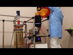 Delta 8 THC Pretreatment at BDX Labs