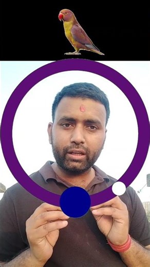 Complete the Stop Challenge to make a sitting parrot fly #stopchallenge