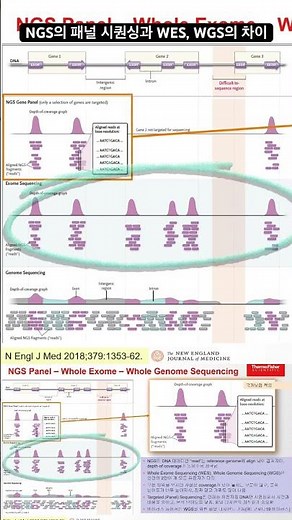 NGS의 패널 시퀀싱과 WES, WGS의 차이