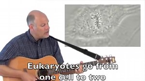 Mitosis Rap Mr. W's Cell Division Song