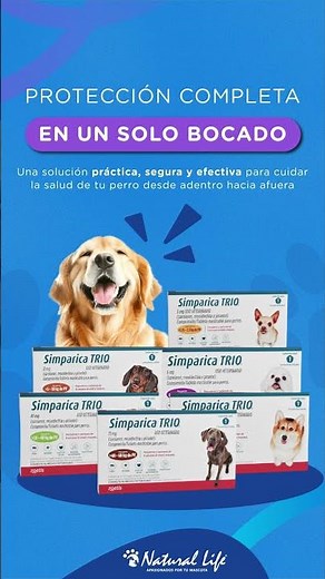 Lo que tu perro necesita, en una sola pastilla. Llego Simparica Trio! #mascotas #perros #pets