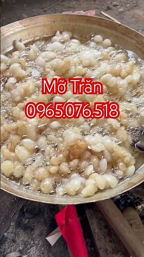 What are the uses and benefits of snake fat? Where can I buy snake fat?