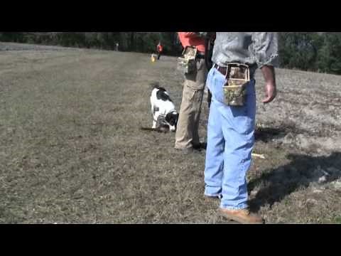 Pheasant Hunt Tower Shoot