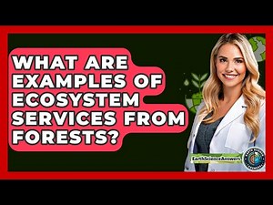 What Are Examples Of Ecosystem Services From Forests? - Earth Science Answers