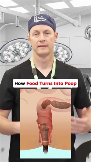 Understanding How Food Turns into Poop