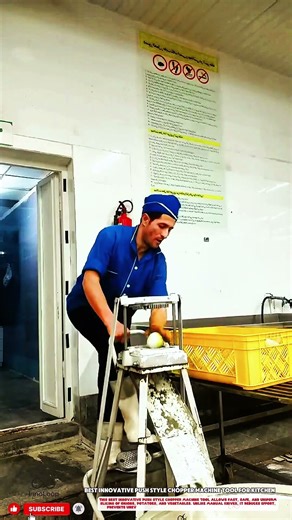 Best Innovative Push Style Chopper Machine Tool for Kitchen