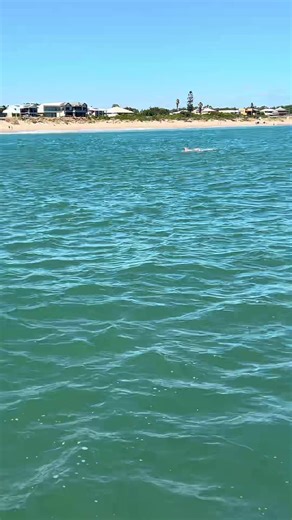 Cheeky Tarts' Swimming Adventure