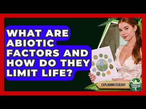 What Are Abiotic Factors And How Do They Limit Life? - Explaining Ecology