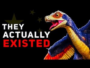 China: The Most Bizarre Dinosaurs To Ever Exist