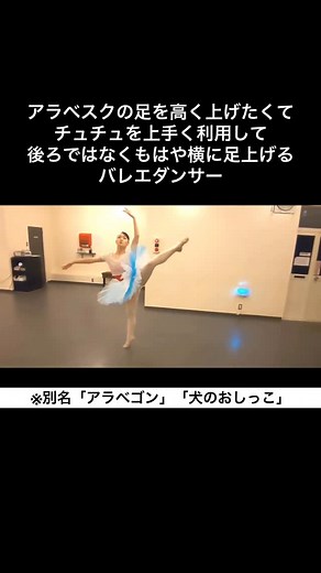 松浦景子(けっけ)🎀バレリーナ芸人 on Instagram: "#バレエあるある 全編・最新作はYouTubeけっけちゃんねるへ❤️ ドン・キホーテ第2幕よりドルシネアのヴァリエーション（ドルネシア） 書籍「松浦景子のバレエあるある」前編後編 2冊が全国書店やオンラインサイトにて発売中✨ #バレエ #バレエコンクール #アラベスク #アチチュード"