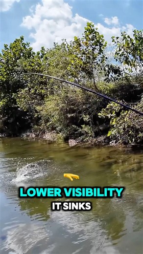 Fishing Line Basics — Mono vs Fluoro vs Braid