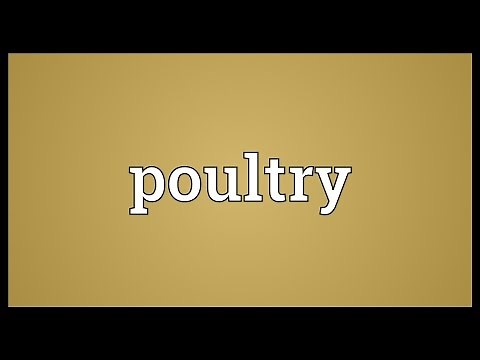 Poultry Meaning