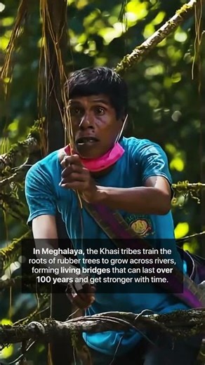 Follow for more interesting facts. #solotraveler #meghalaya #shorts #trendingshorts #travel