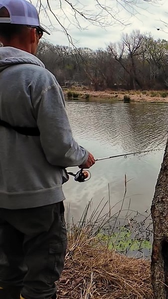 White Perch Pluckin #crappiefishing #spawningcrappie