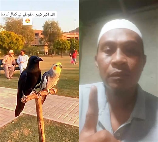 13 reactions | Allahu akbar mashaallah | Rasheed Mongis II | Facebook