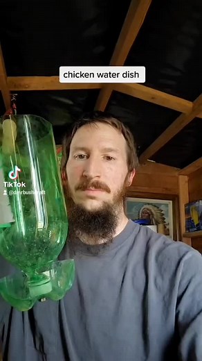 DIY Chicken Waterer: Easy Design for Backyard Flocks