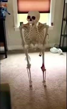 Skeleton falling meme (u can use if ya want)