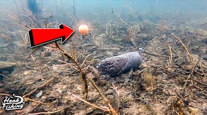 Are you tired of using the same old carp fishing techniques with little success? Consider giving the chod rig a try and in this video Frank Warwick gives us an extra edge to take your chod fishing to the next level. 🎣 Head over to our friends from the On The Hook YouTube 🎬 channel to watch the full video: 👉 https://fcld.ly/chod-rig-frank-warwick #prologic #chodrig #frankwarwick #onthehook | Prologic