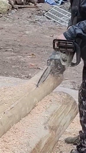 cutting the large brown wood log precisely for a furniture material using an electric chain saw now