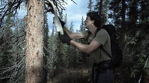 34K views · 164 reactions | For Glenn on #LifeBelowZero, moose is the most important animal. If he gets one, that equals food security for the winter. | National Geographic TV | Facebook