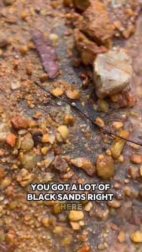 Beginner’s Guide to Gold Prospecting: Tools, Tips & Signs to Look For