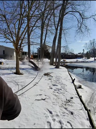 Another day in the office for our team! Today's project included selective Cottonwood removals by the water. Call today for any tree needs: 810-391-1249. | Tri County Land & Tree