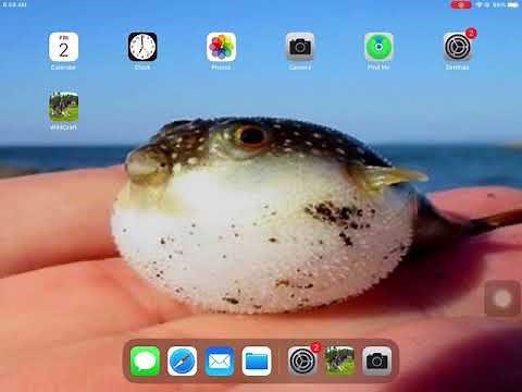 How To Turn On Classic Invert [EASY]