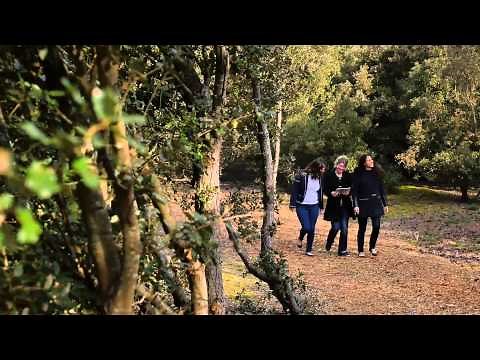 Biotopia - Notre Dame de Monts