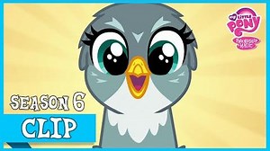 Gabby the Griffon (The Fault In Our Cutie Marks) MLP FiM HD